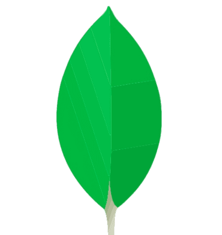 MongoDB Logo